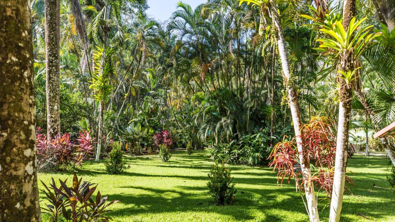 Hotel Villas Rio Mar Dominical Extérieur photo